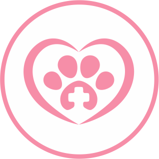 Cardiologia