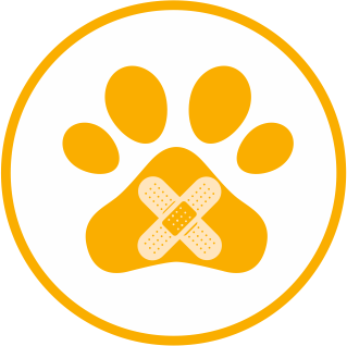 Dermatologia Veterinária